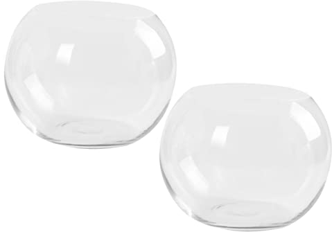 Luxshiny 2pcs Desktop Vase Decor Glass Planter Round Glass Tanks Office Desk Decor Plant Holder Glass Floral Bowls Plant Pots Indoor Succulent Terrarium Clear Vase Bubble Orchid Pot