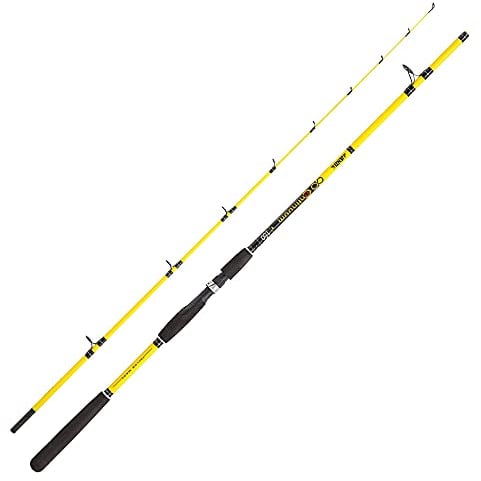 JENZI Continuum 2,40 m 20-100 g
