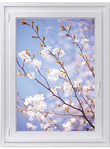 Fenster-Folie Sichtschutz I Folie für Fenster Deko - Fensterbild selbstklebend I Deko für Bad, Küche, Kinderzimmer - Farbecht, Robust - Made in Germany