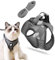 Katzenleine mit Geschirr für Katzen, Hundegeschirr, Cat Harness and Leash, Katzengeschirr für Kleine Katze, Outdoor Walking Set