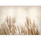 murando - Papier Peint Panoramique Adhésif Nature 343x256 cm - Tapisserie Murale Autocollante Décoration Moderne Chambre Salon - Vert gris marron - b-A-10095-a-a