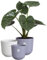 Elho Jazz Round Pot de Fleurs - Pot de Plantes d'Intérieur - Plastique 100% Recyclé - Structure Unique - Lot de 3 - Ø 14, 16, 19 cm - Violet/Lavande Lilas