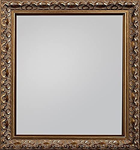 Frame Company Charleston Framed Mirror, Gold, 20 x 16-Inch