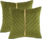 Tosleo 2 Stück Samt Kissenbezüge Dekorative 40 x 40 cm Kissenhülle mit Gold Leder Luxus Moderne für Wohnzimmer Schlafzimmer Sofa Kissen Bett (Green, 40 x 40 cm)