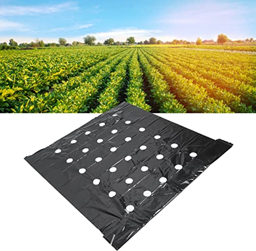Cafopgrill Perforierter Mulch, Schwarze Pflanzen Perforierte Pe-Folie Für Garten Schwarze Mulchfolie Dampfsperre Kunststofffolie Landwirtschaftliche Mulchfolie