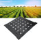 Paillis perforé, Plantes Noires Film PE perforé pour Jardin Film de Paillage Noir Pare-Vapeur Bâche en Plastique Film de Paillage Agricole Film perforé Agricole Noir
