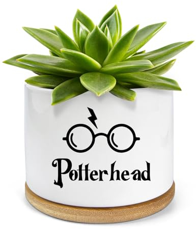 PWHINGN Funny Ceramic Succulent Planter Pots with Drainage Bamboo Tray, Office Windowsill Decor Indoor, Funny Plants Pots Desk Accessories for Plant Lovers Mom Friends Teacher (Not Plants)