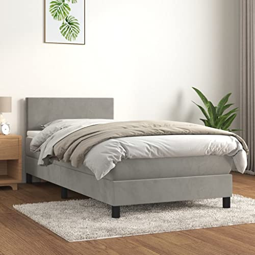 Willood Boxspringbett mit Matratze Hellgrau 90x200 cm SamtSchlichtes Design