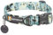 RUFFWEAR Front Range Hundehalsband für kleine Hunde, bequem und stabil mit seitlicher Schnalle und Gurtband zum Gassigehen mit dem Hund, Größe S (28–36 cm), geschwungenes Salbei
