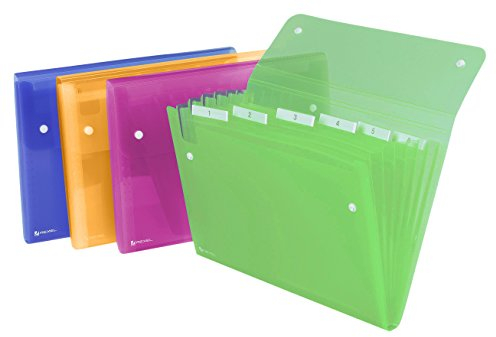 Rexel 2102032 Ice FächermaPPe 6 Sortiert
