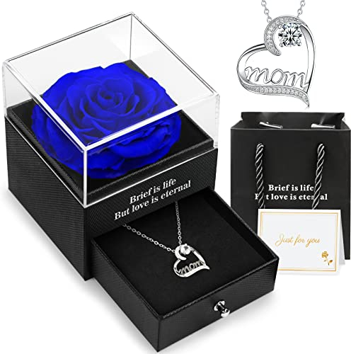Hnustbo Rose Eternelle avec Bijoux, Cadeau Fete des Meres, Cadeau de Noel pour Une Maman, Cadeau Maman Anniversaire, Cadeaux Noel Femme, Idees Cadeaux Noel Femme