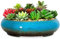 ARTKETTY Grand Pot de Fleurs en céramique émaillée pour Plantes Grasses d'intérieur et d'extérieur 29 cm