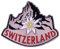 Schweiz Schweizer Alpen Edelweiss Bergblume 3,0 cm Revers Emaille Pin Anstecker 3,0 cm breit Emaille
