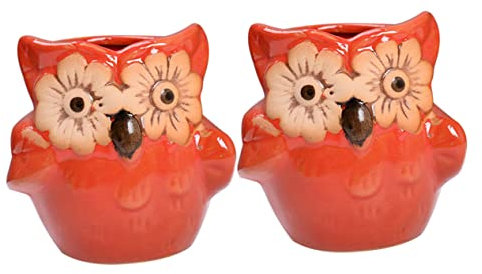KITANDOVE 2piezas De Cerámica Forma De para Suculentas Rojo Contenedores Elegantes para Jardinería y Decoración del