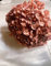 Preserved Hydrangea Burgundy Color, Ortensia Fiori Stabilizzati, Resin DIY Jewelry