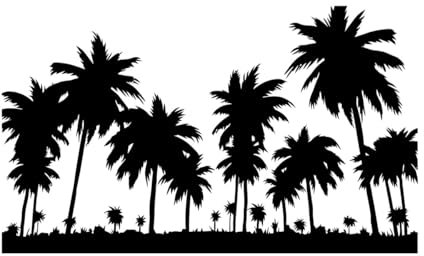 Wall Stickers Travel Palm Tree Tropical Beach Style Vacation 45x75.6cm Waterproof Black