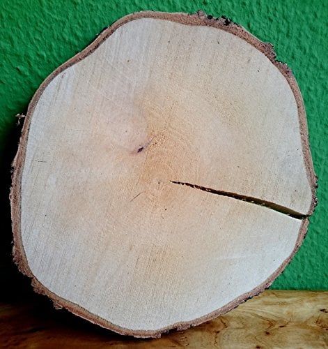 Birkenscheibe rund ca. 25-30 cm (Dicke: 2,5 cm) Holzscheiben Birkenstamm Birken Holz Dekoration Hochzeit Baumscheiben