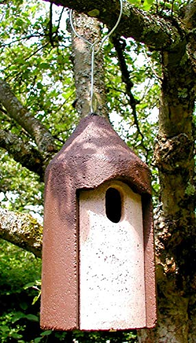 Naturschutzprodukt Nisthöhle Satz 2 Stück Typ 2M Vogelhöhle freihängend FG Nisthilfe Flugloch 29 x 55 mm