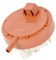 Presostat Lavavajillas 1528189127, 1528189101 Arthur Martin Electrolux