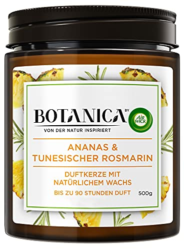 Botanica by Air Wick Duftkerze – Duft: Ananas & Rosmarin – Nachhaltig hergestellt mit natürlichen Inhaltsstoffen – 500 g Kerze im Glas, 3185468, rosa-Tiger