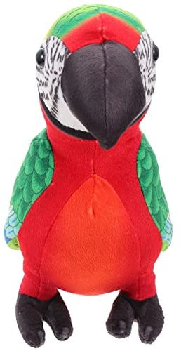 ibasenice Papagei Puppe Spielzeug Plüsch Papagei Spielzeug Plüsch Nymphensittich Papagei Kuscheltier Kissen Tierische Plüschkissen Kawaii Wurfkissen Vögel Karikatur Kind Pp Baumwolle