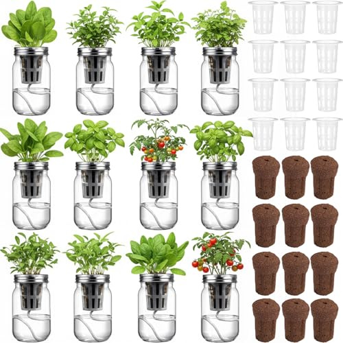 Teenyyou 12 Set Hydroponic Herb Garden Planter Indoor Kit, Include 12 Self Watering Mason Jars 12 Planting Baskets 12 Pre Sown Growth Plugs and 12 Absorbent Cores Herb Growing Kit for Gardening