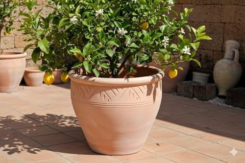 GartenGees Pflanzkübel,Streifenmuster,Blumentopf,Terracotta hell,frostfest!3 Größen wählbar (32 cm)