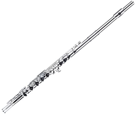 Versilbertes Flötenmusikinstrument Für Anfänger, Einfach Zu Bedienende, Geschlossene Flöte Mit 16 Tasten Einsteiger Querflöten