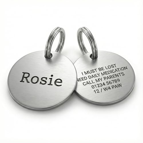 Placa de identificación personalizada para perro, de acero inoxidable plateado con grabado personalizado para perros y gatos, grabado profundo de doble cara, duradera y elegante (plata, grande: 30 mm)