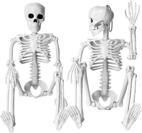 DTYDECLE 2 Stück Halloween Deko Skelett, 40cm Ganzkörper Mini Hängende Skelett mit beweglichen Gelenken für Halloween Hause Party Dekoration