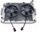 Radiateur OEM ATV avec 2 ventilateurs étanches pour Linhai Hytrack 260cc 300cc LH260 LH300 ATV Quad