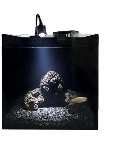 Fisch-Aquarium Schwarzes quadratisches Glasaquarium. Kleines einteiliges Glas-Tischaquarium mit Zubehör