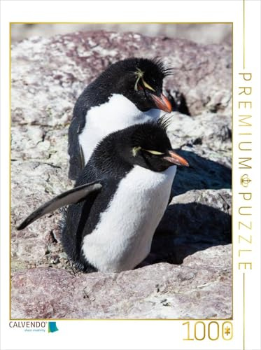CALVENDO Puzzle Rockhopper Pinguine, Isla de los Pingüinos | 1000 Teile Lege-Größe 48 x 64 cm Foto-Puzzle für glückliche Stunden