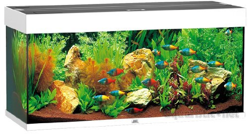 Juwel Aquarium 4400 Rio 180, weiß