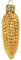 PPH 'IMP' Christbaumschmuck Figuren Essen Christbaumschmuck (Mais/Corn 5cm) Figuren Essen Christbaumkugeln Weihnachtskugeln Weihnachts-Baumschmuck Baumkugeln Deko Luxus