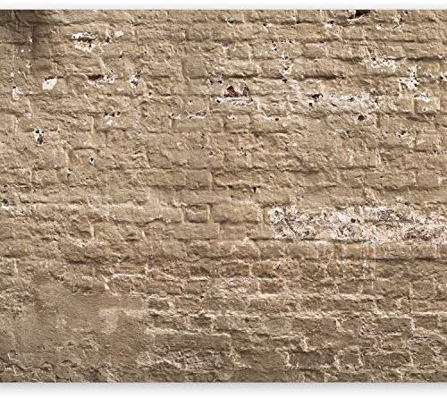murando - Fototapete Ziegelstein 450x315 cm Vlies Tapeten Wandtapete XXL Moderne Wanddeko Design Wand Dekoration Wohnzimmer Schlafzimmer Büro Flur Ziegel Ziegelmauer f-A-0507-a-c