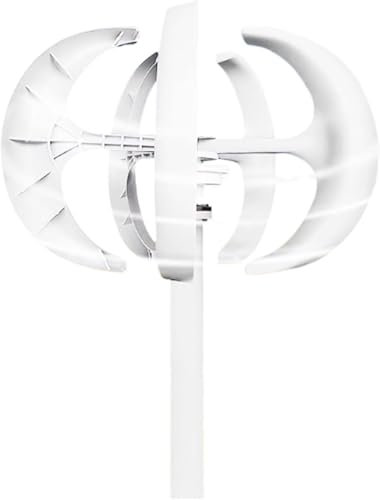 XINRISHENG 220v, generatore Eolico, 2000W con Controller turbina eolica Solare Turbine eoliche 5 Pale Adatte per la Generazione di energia eolica e Solare