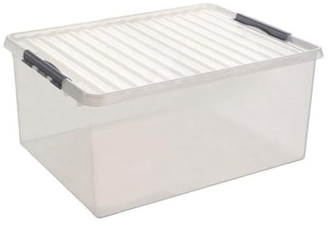 Sunware Box, Plastik, Transparent Metallic, Einheitsgröße