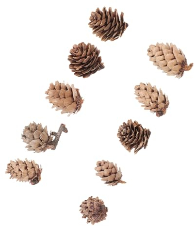Ciieeo 100st DIY-Material Tannenzapfen Basteln Hochzeitsdekorationen Weihnachten Hängende Tannenzapfen Adornos para Mesa De Dekor Für Den Tisch Mini-vase Holzspäne Natürlich Kiefernzapfen