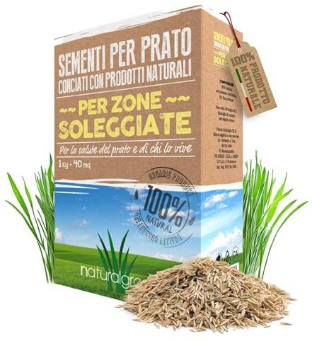 B4Green Semi Prato Resistenti (40m²) Festuca Arundinacea Zone Soleggiate | Prato Resistente a Sole e Siccità, Fitto e Verde Scuro, Crescita Affidabile e Duratura, Copertura Fino a 40m² 1kg