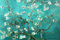 Van Gogh Almond Blossom San Ramy '1890' Maxi Poster, 61 x 91.5 cm Mehrfarbig