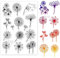 GLOBLELAND Wunderschöne transparente Löwenzahn-Blume-Stempel für DIY Scrapbooking Dekoration Blumenstrauß Pflanze transparente Silikon-Stempel zum Erstellen von Karten Fotoalben