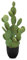 Oairse Planta artificial de cactus grande planta artificial grande en maceta plantas decoración tuna Euphorbia Accruensis Cactus Cactus Artificial para el hogar, jardín, oficina, tipo 1