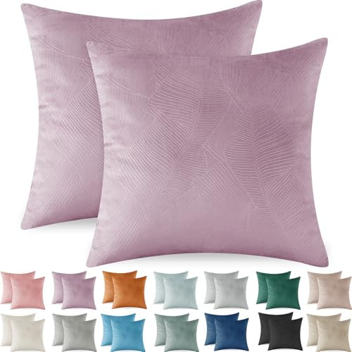 Ystyle Federe Cuscini Divano 60x60 2 Pezzi, Copricuscino in Velluto, Copricuscino Divano Lavabili e Resistenti Anallergico Antiacaro e Traspirante con Cerniera Nascosta, Viola Chiaro