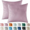 Ystyle Federe Cuscini Divano 60x60 2 Pezzi, Copricuscino in Velluto, Copricuscino Divano Lavabili e Resistenti Anallergico Antiacaro e Traspirante con Cerniera Nascosta, Viola Chiaro