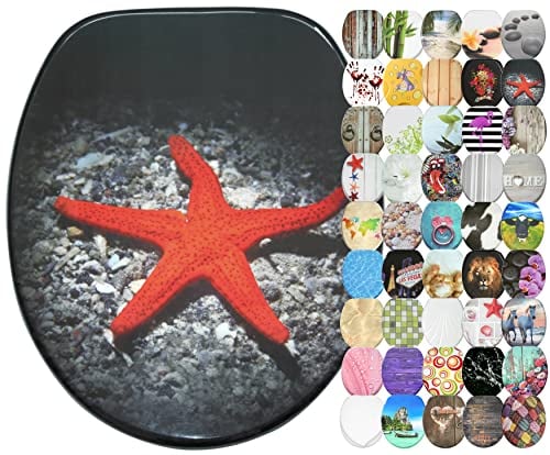 Sanilo WC Sitz mit Absenkautomatik, viele neue Toilettendeckel zur Auswahl, hochwertige Oberfläche, einfache Montage, stabile Scharniere (Deep Sea)