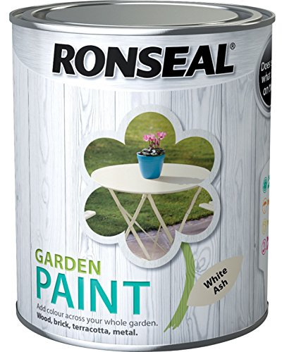 Ronseal General Purpose Garden Paint White Ash 250ml