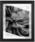 Cadre photo Bergamo BIRAPA - 80 x 100 cm - Noir - En bois MDF - Avec vitre en verre synthétique antireflet