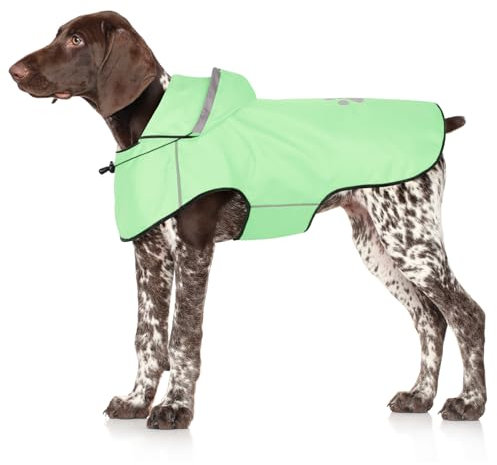 BiPawTi Hunderegenmantel Wasserdicht für Hunde, Reflektierenden Hunde-Regenjacken für Große Hund, Hundekleidung mit Verstellbarer Kapuze & Klettverschluss, Hund Regenmantel für Spaziergänge (L | Mint)