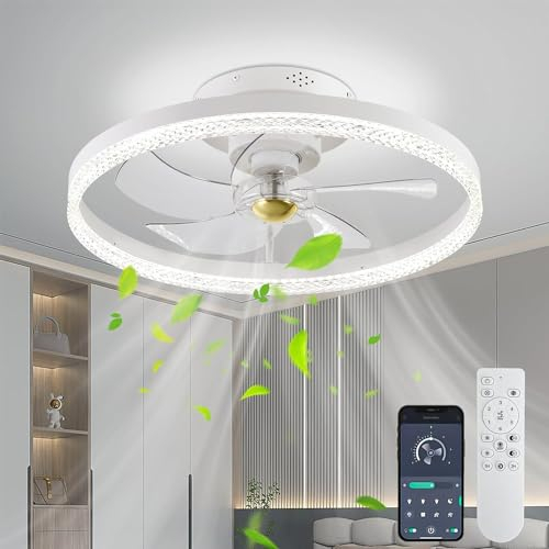 EKDADL Cristal Ventilador de Techo con Luz Silencioso Reversible Plafon Ventilador Techo con Luz 0%-100% Regulable Inteligente Distancia & APP Tiempo 2H